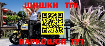 крисы Лесосибирск