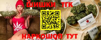 крисы Лесосибирск