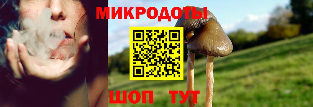 Галлюциногенные грибы GOLDEN TEACHER  Галлюциногенные грибы ЛСД  Чернушка  Вход с VPN 