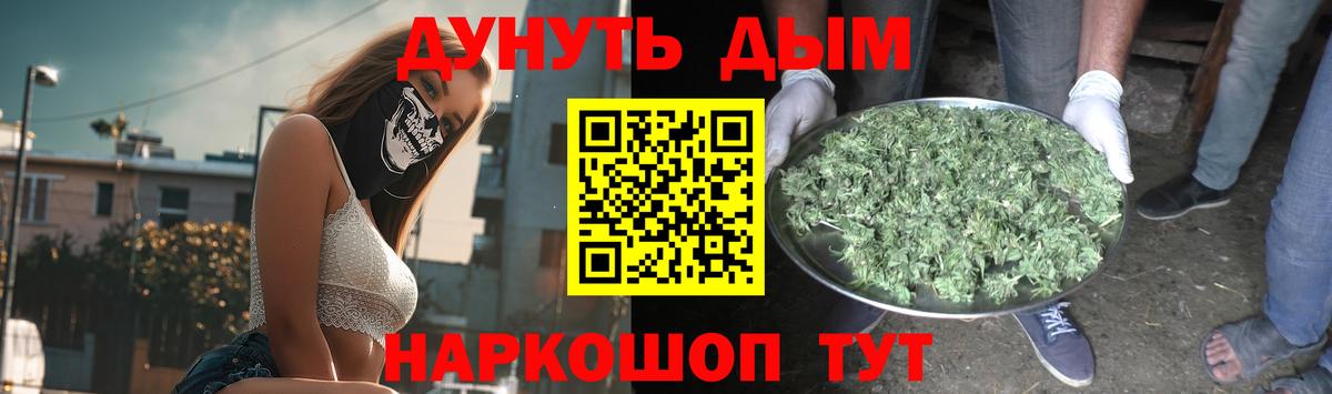 Каннабис SATIVA & INDICA Чернушка